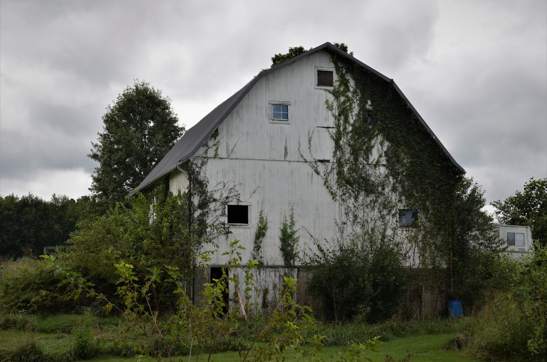 Corruption and the Great American Mortgage Company